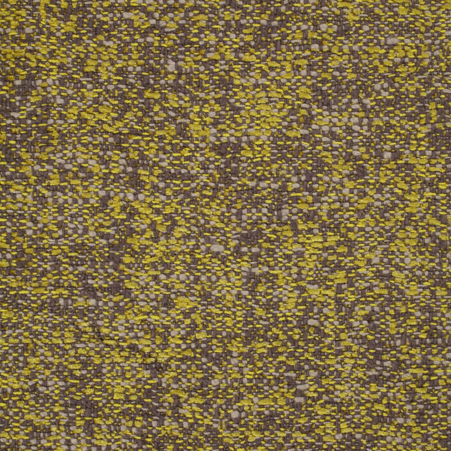 Speckle 131869