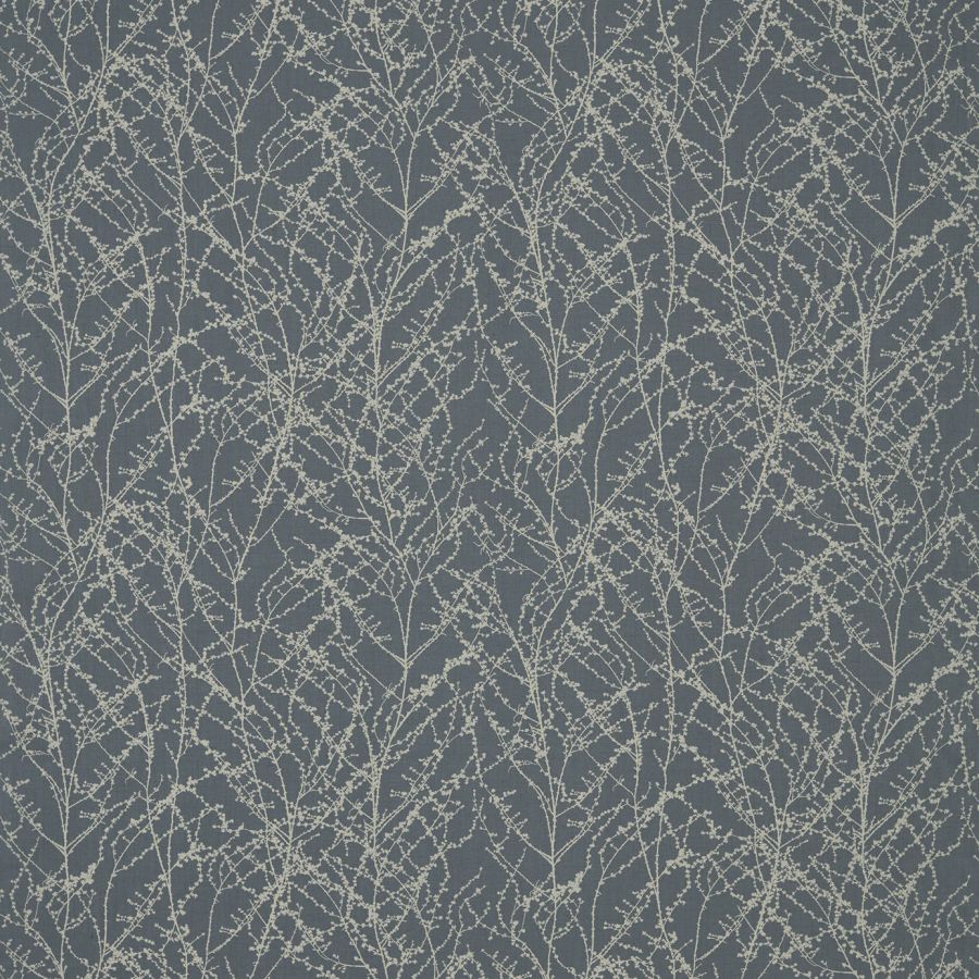 Seriphium 120623