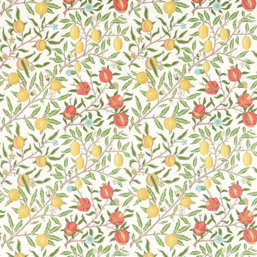Fruit 226907