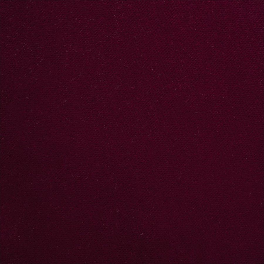 Villus 142564