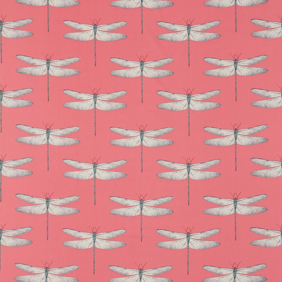 Demoiselle 120434