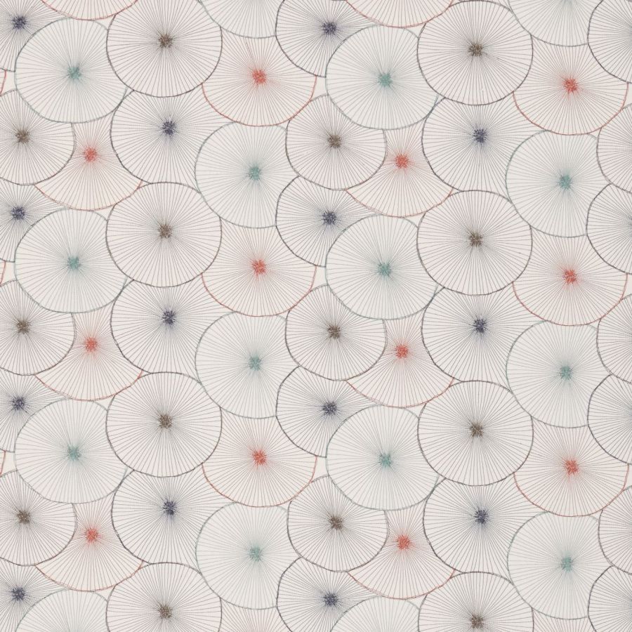 Aster 131586