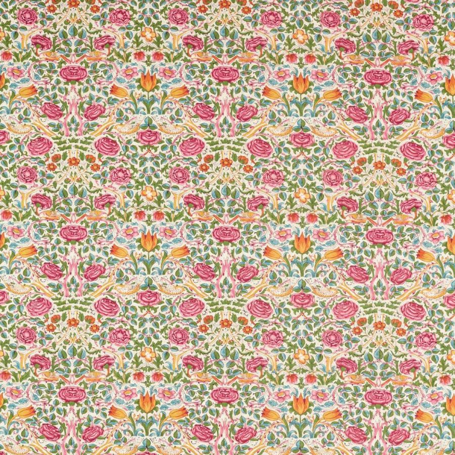Rose 227023