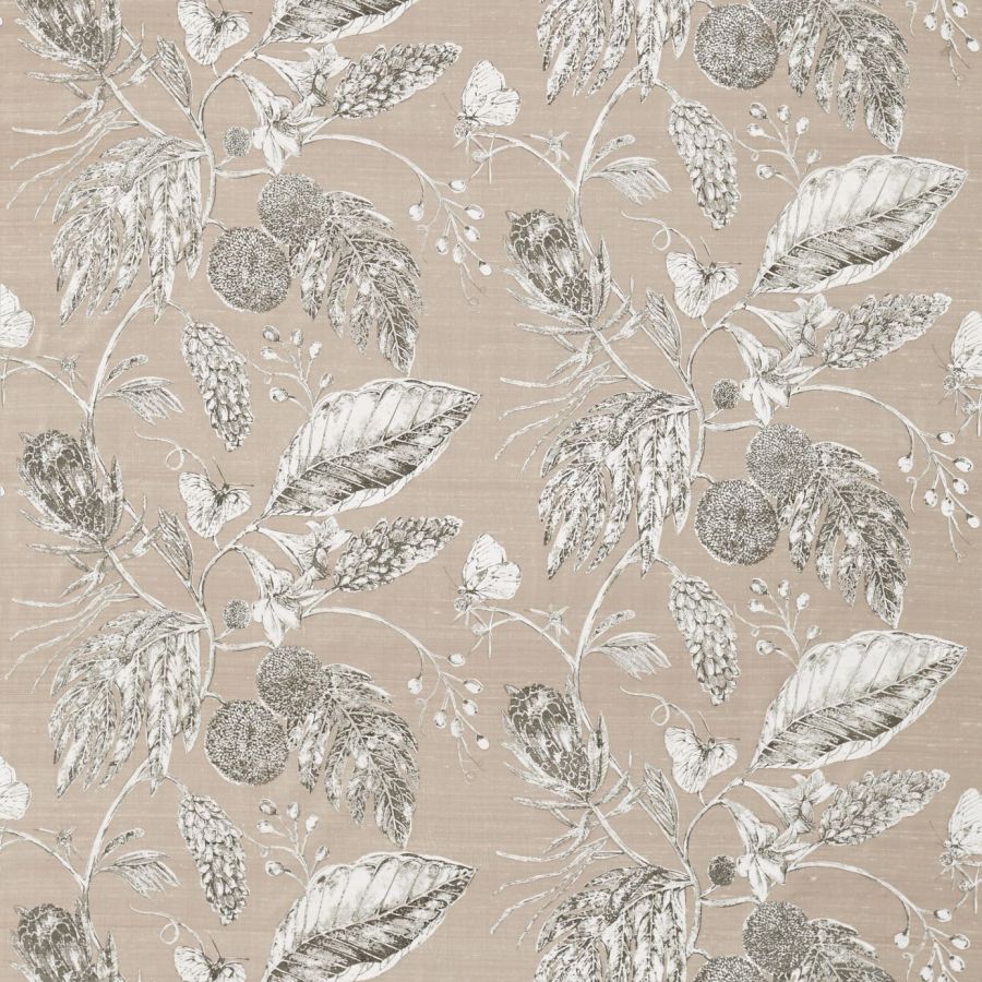 AmborellaSilk 120421