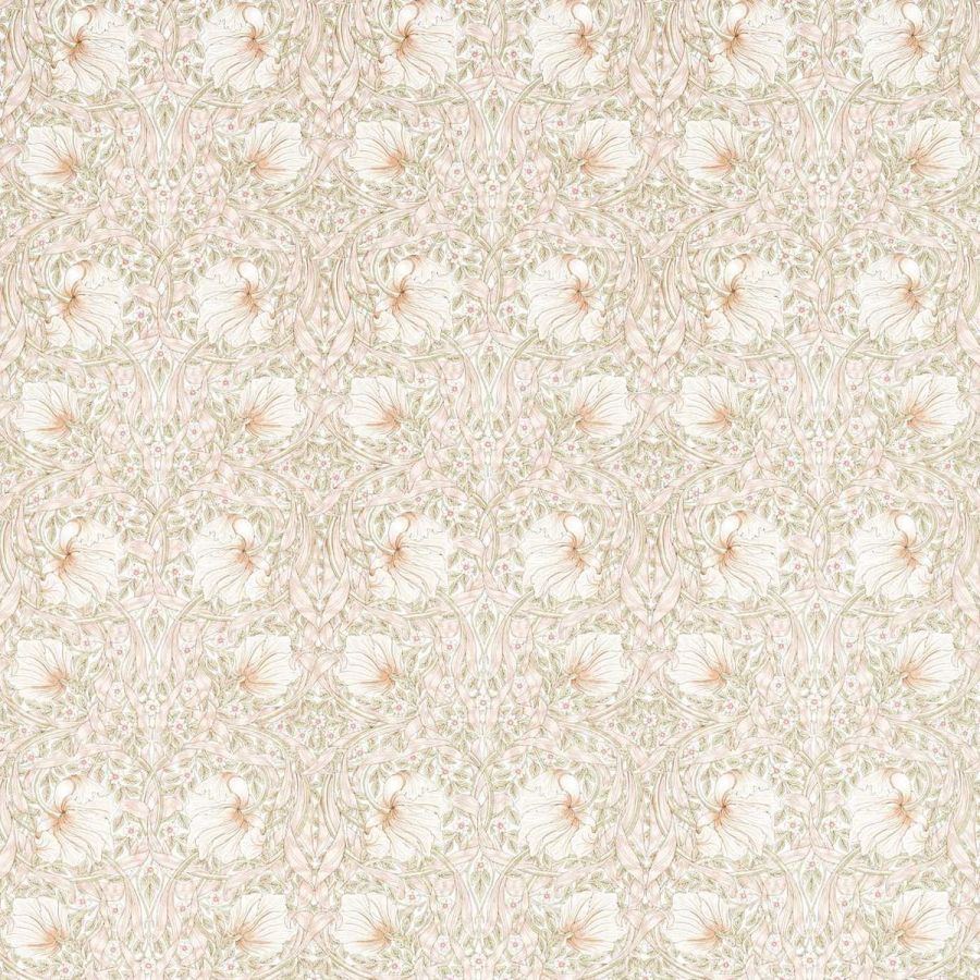 Pimpernel 226900