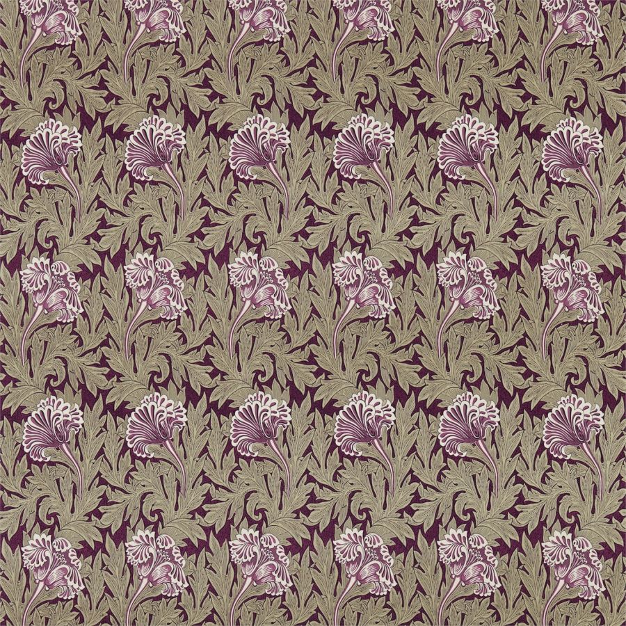 Tulip 224459
