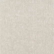 Vector 38 Seagrass