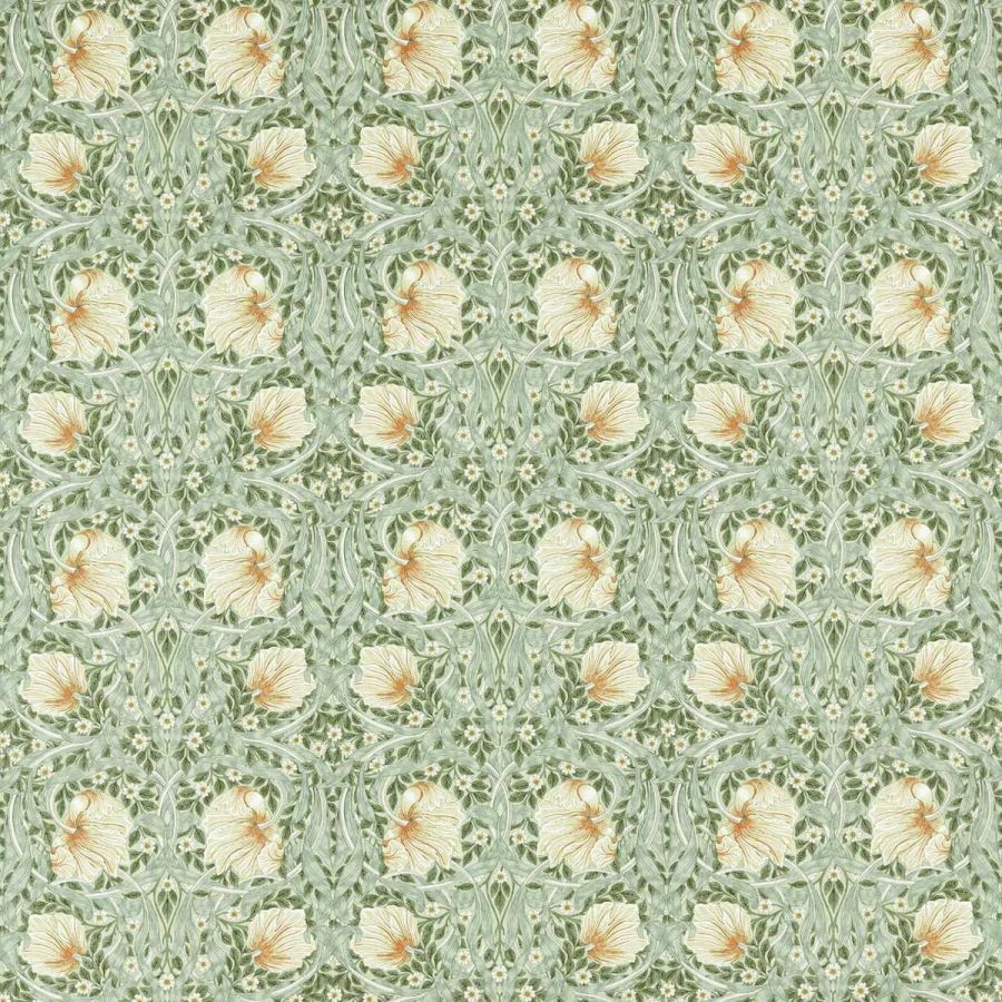 Pimpernel 226899