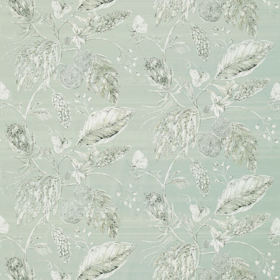 AmborellaSilk 120419