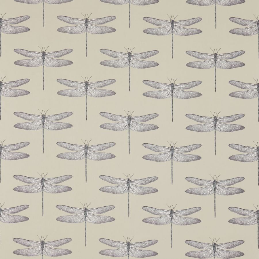 Demoiselle 120436