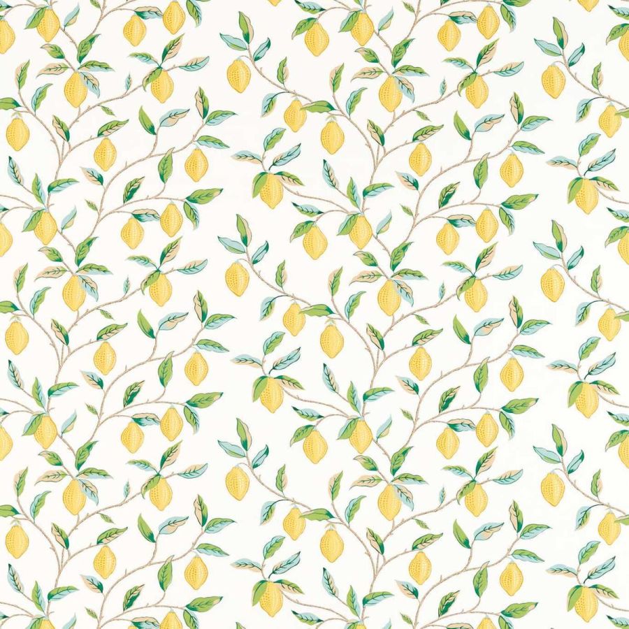 Lemon Tree 226909