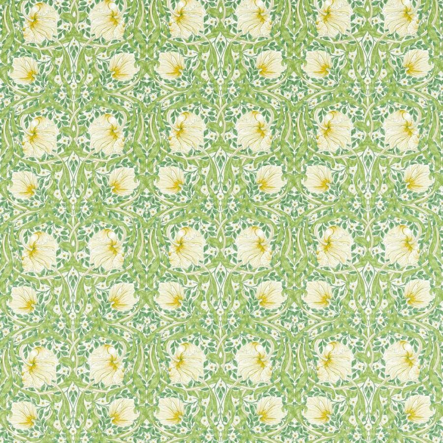 Pimpernel 226898