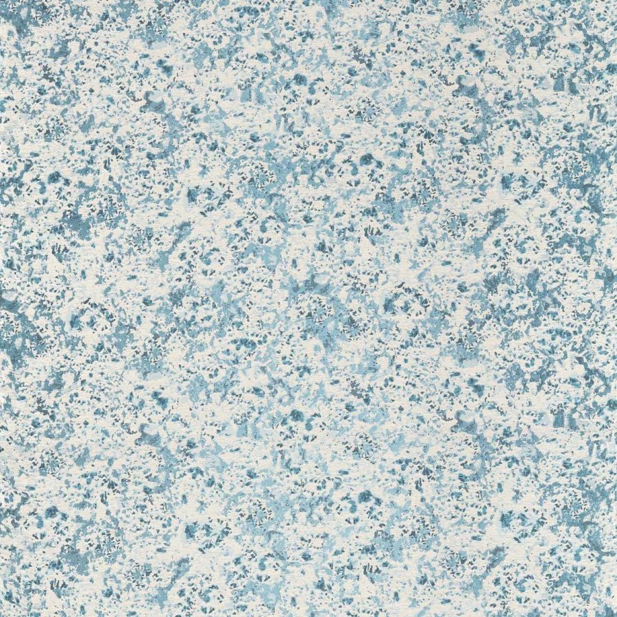 Aconite 134004