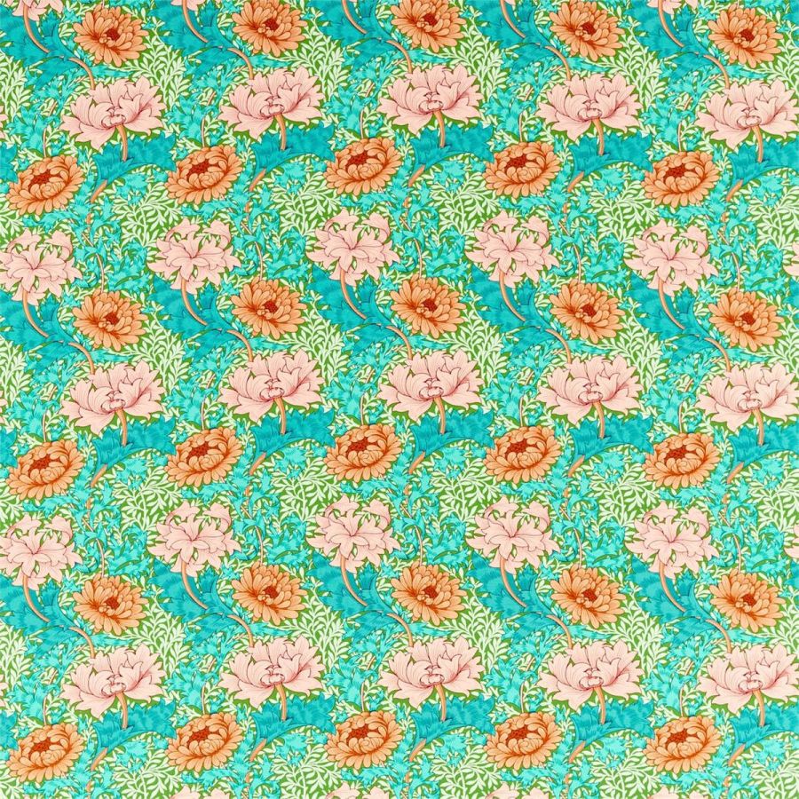 Chrystanthemum 226855