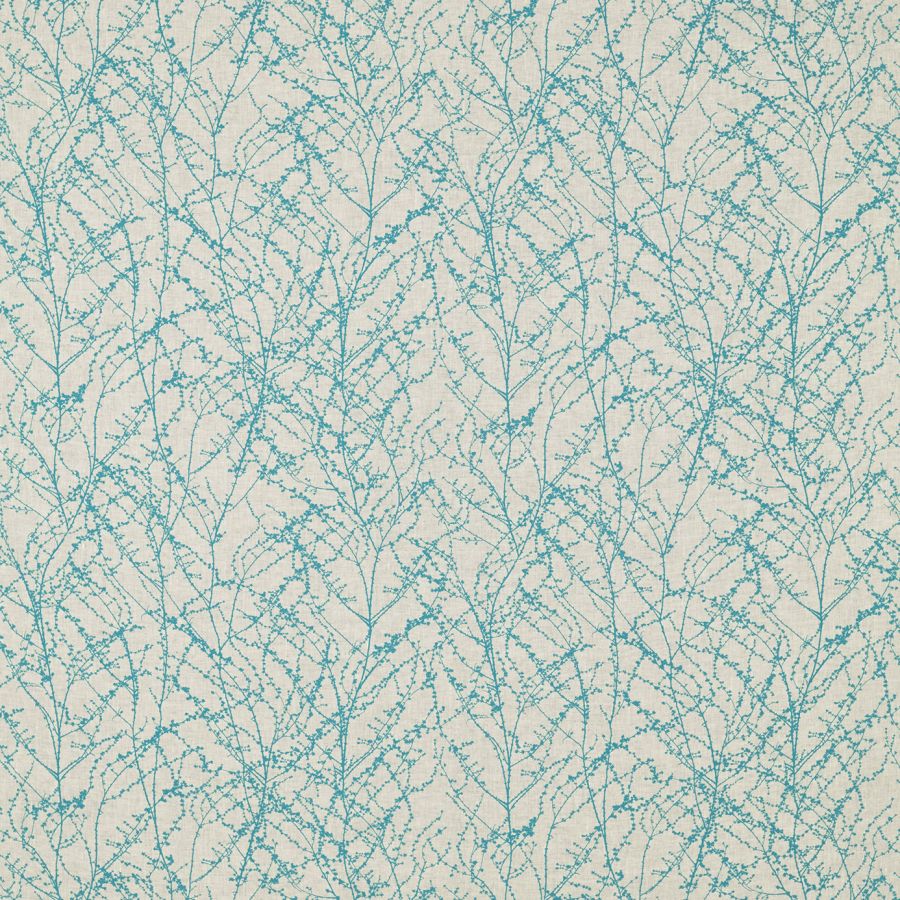 Seriphium 120625