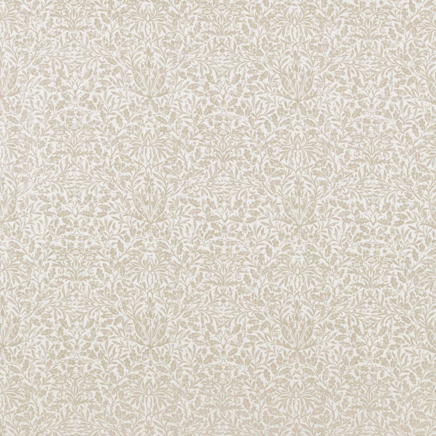 Pure Acorn 226062