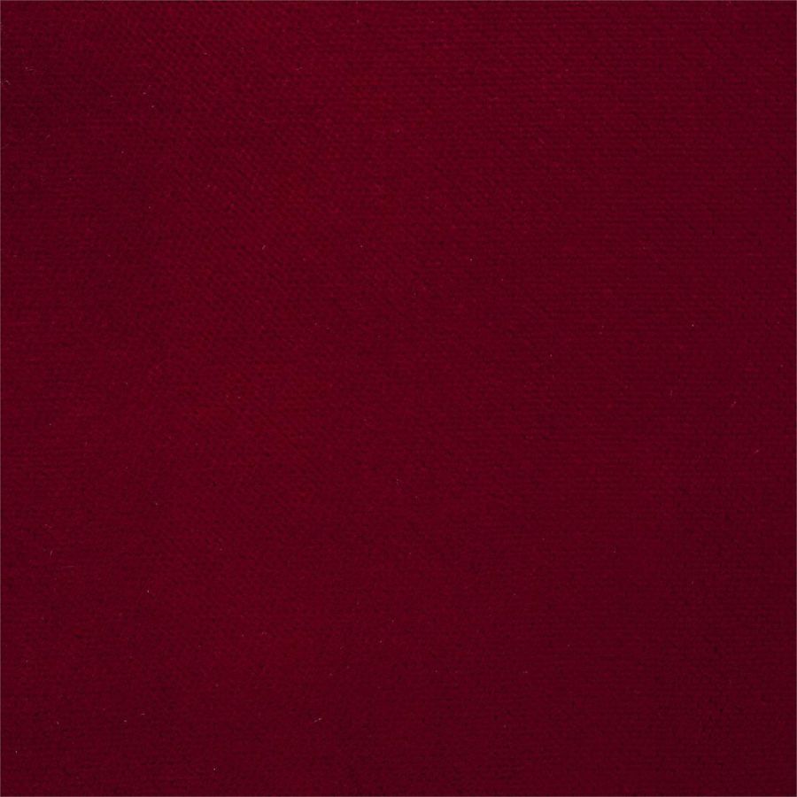Villus 142563