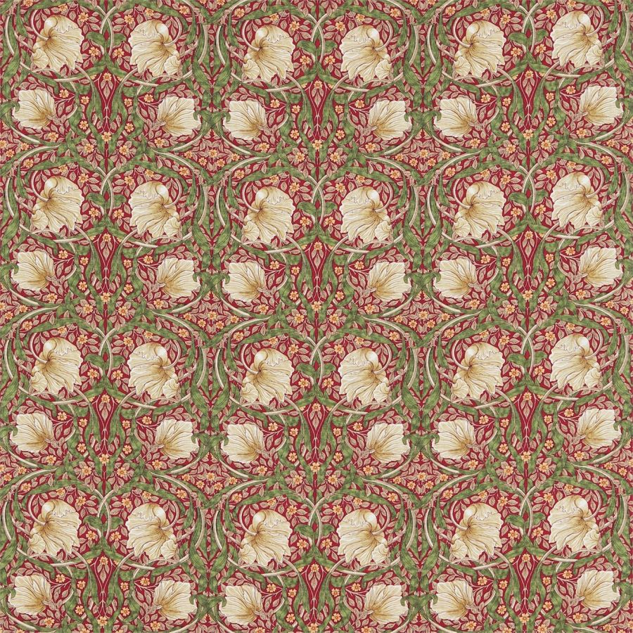 Pimpernel 226456(224493)
