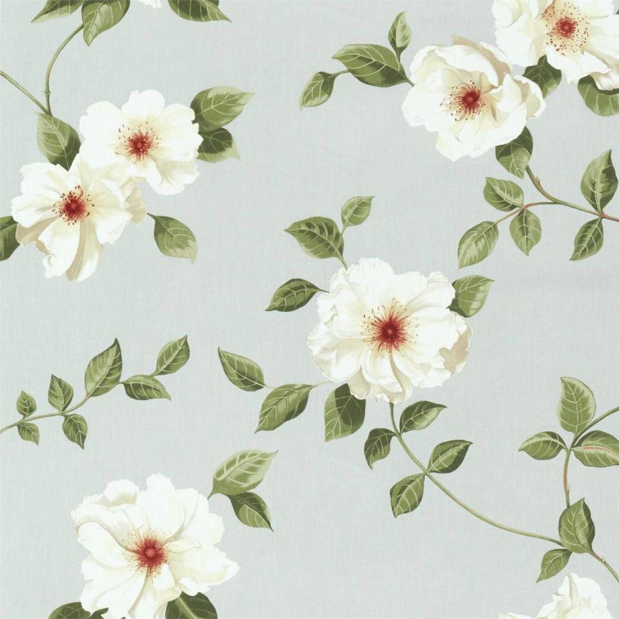 Poet's Rose 226737