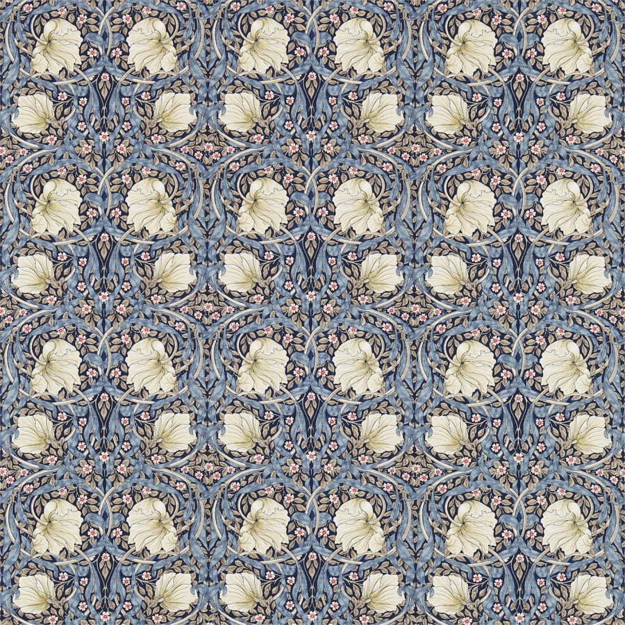 Pimpernel 226712