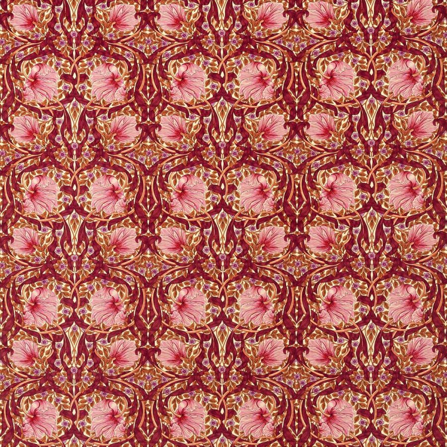 Pimpernel 227216