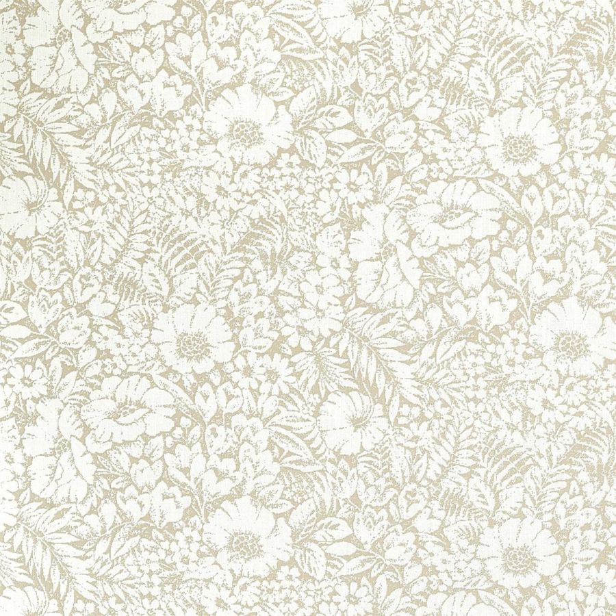 Meadow Fields 237196