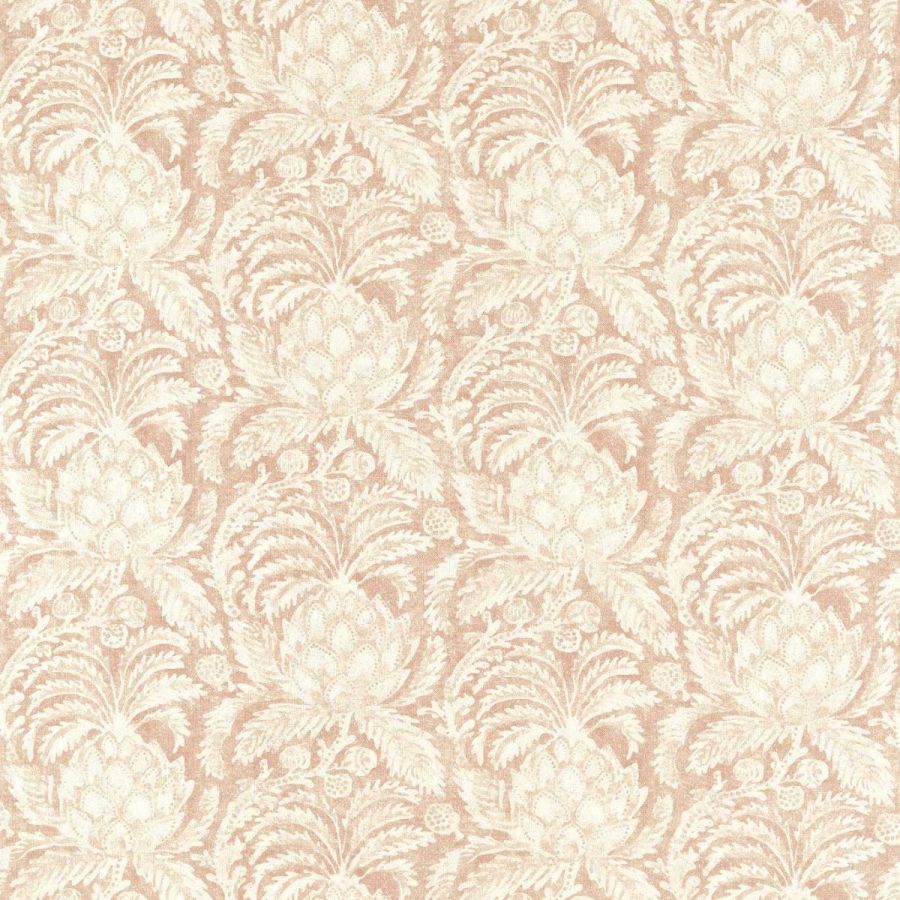 Pina de Indes 322763