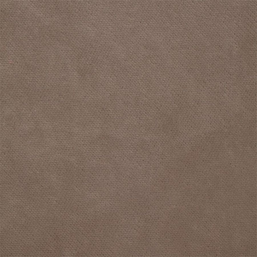 Villus 142590