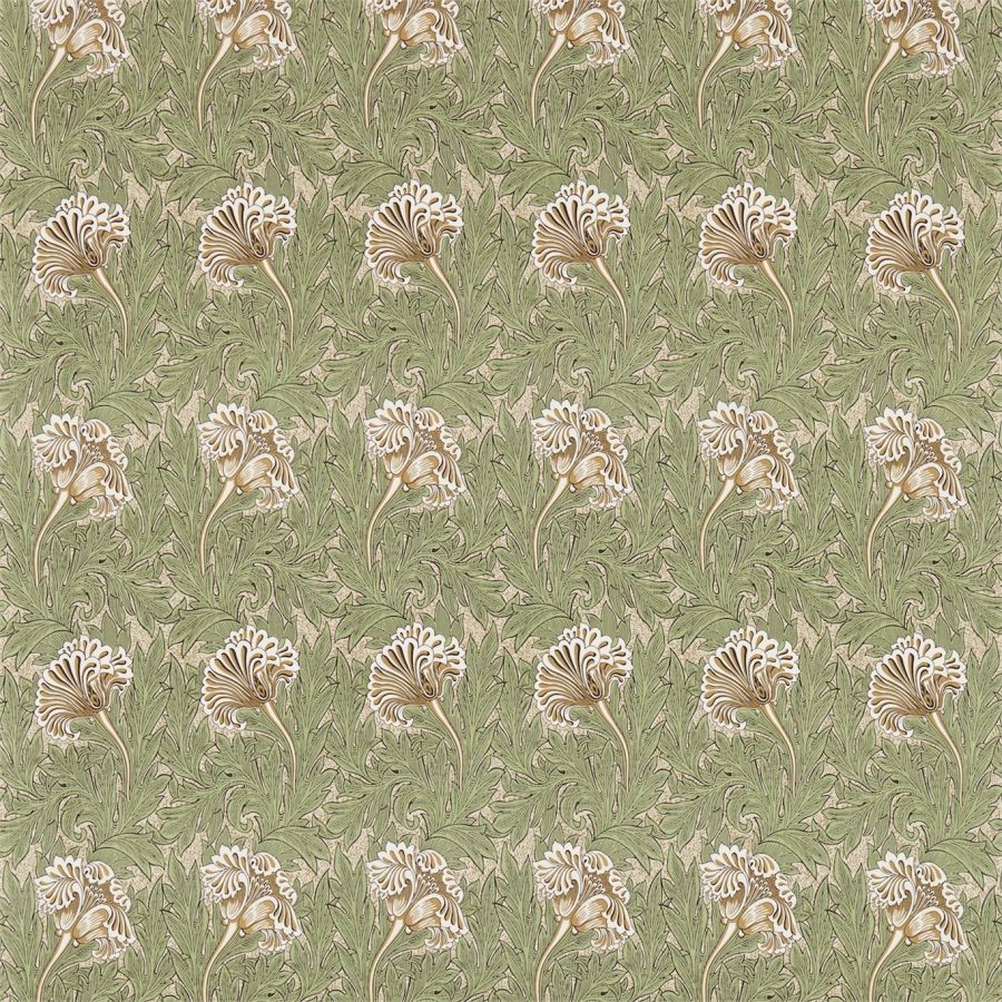 Tulip 224461