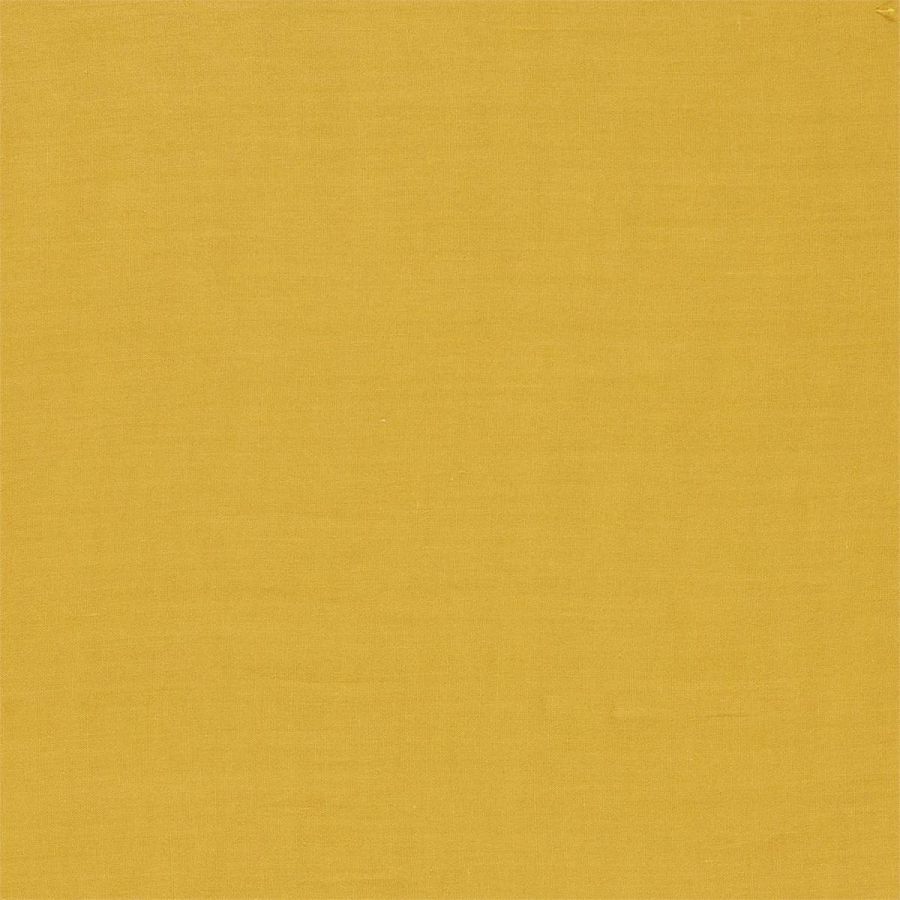Ruskin 236869
