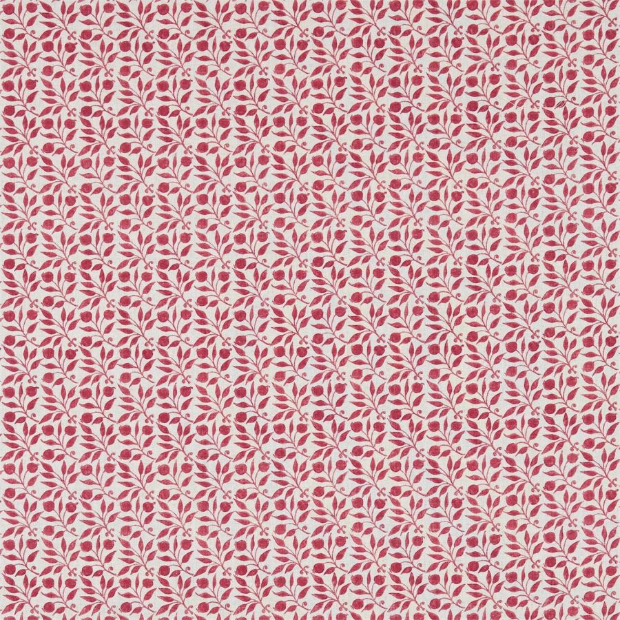Rosehip 226692