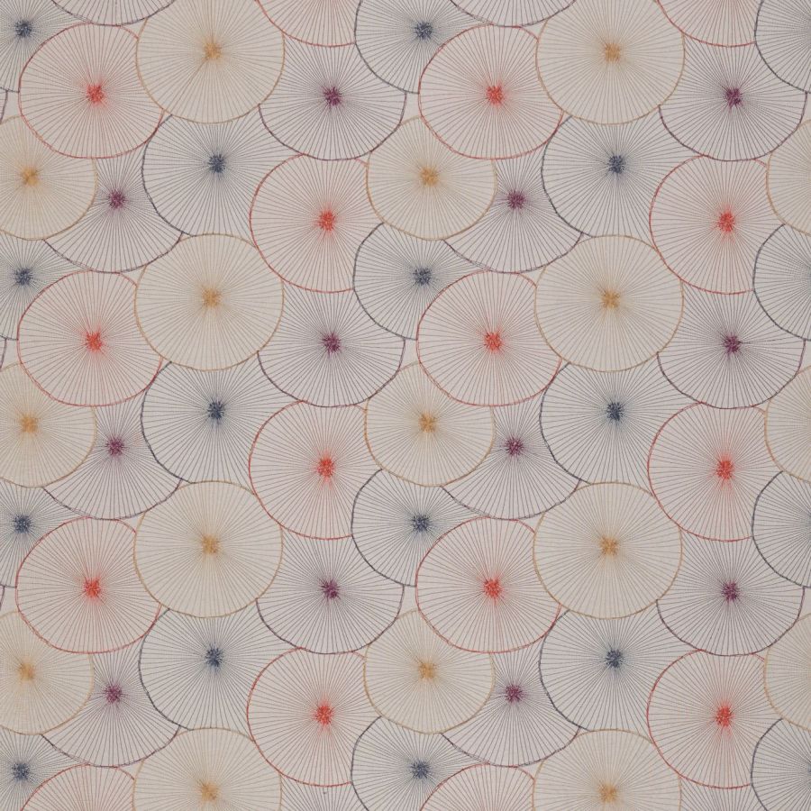 Aster 131588