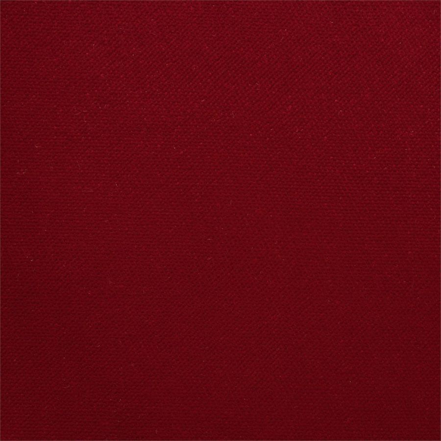 Villus 142562