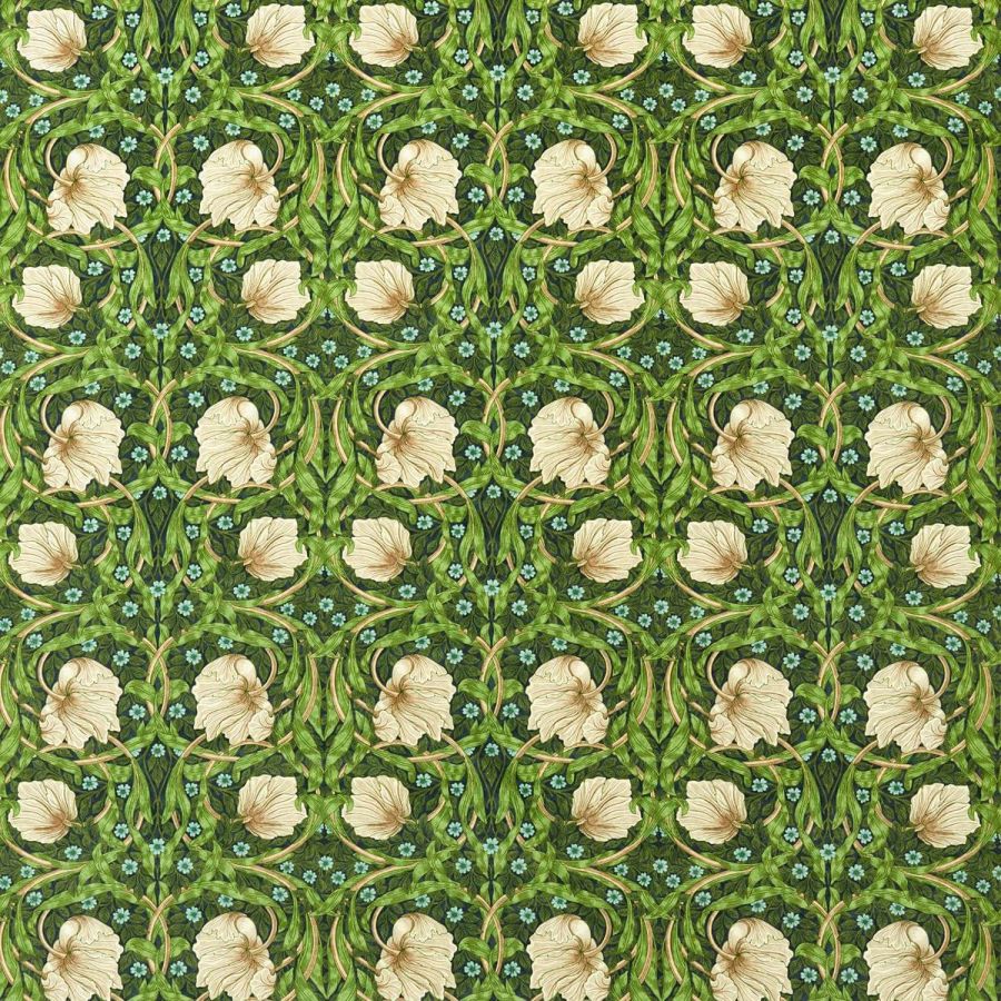 Pimpernel 227215