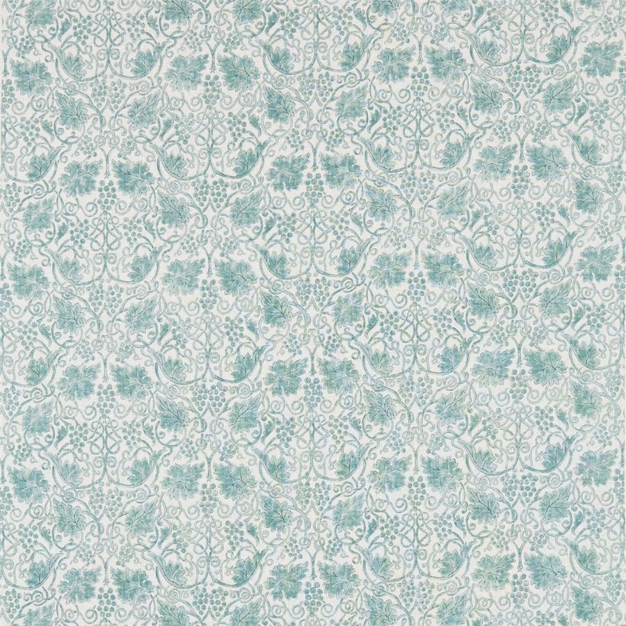 Grapevine 224474